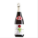 VINO LAMBRUSCO DI SORBARA SPUMANTE DOP GINO FRIEDMANN X 750ML